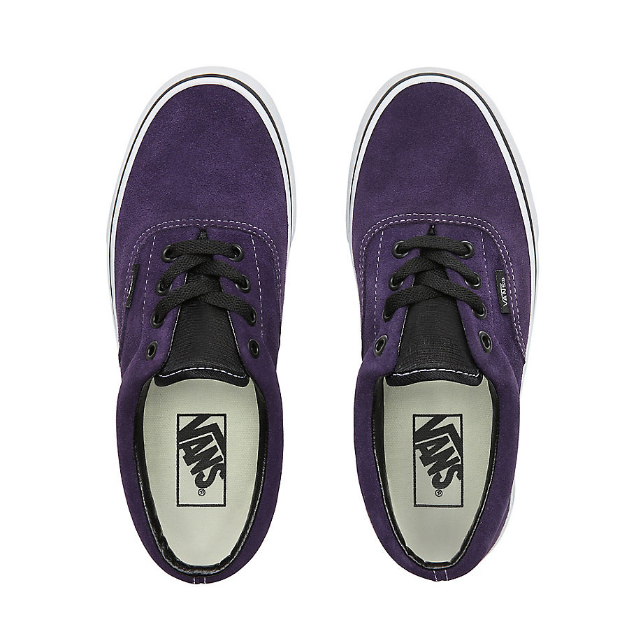 Vans california 2024 native era